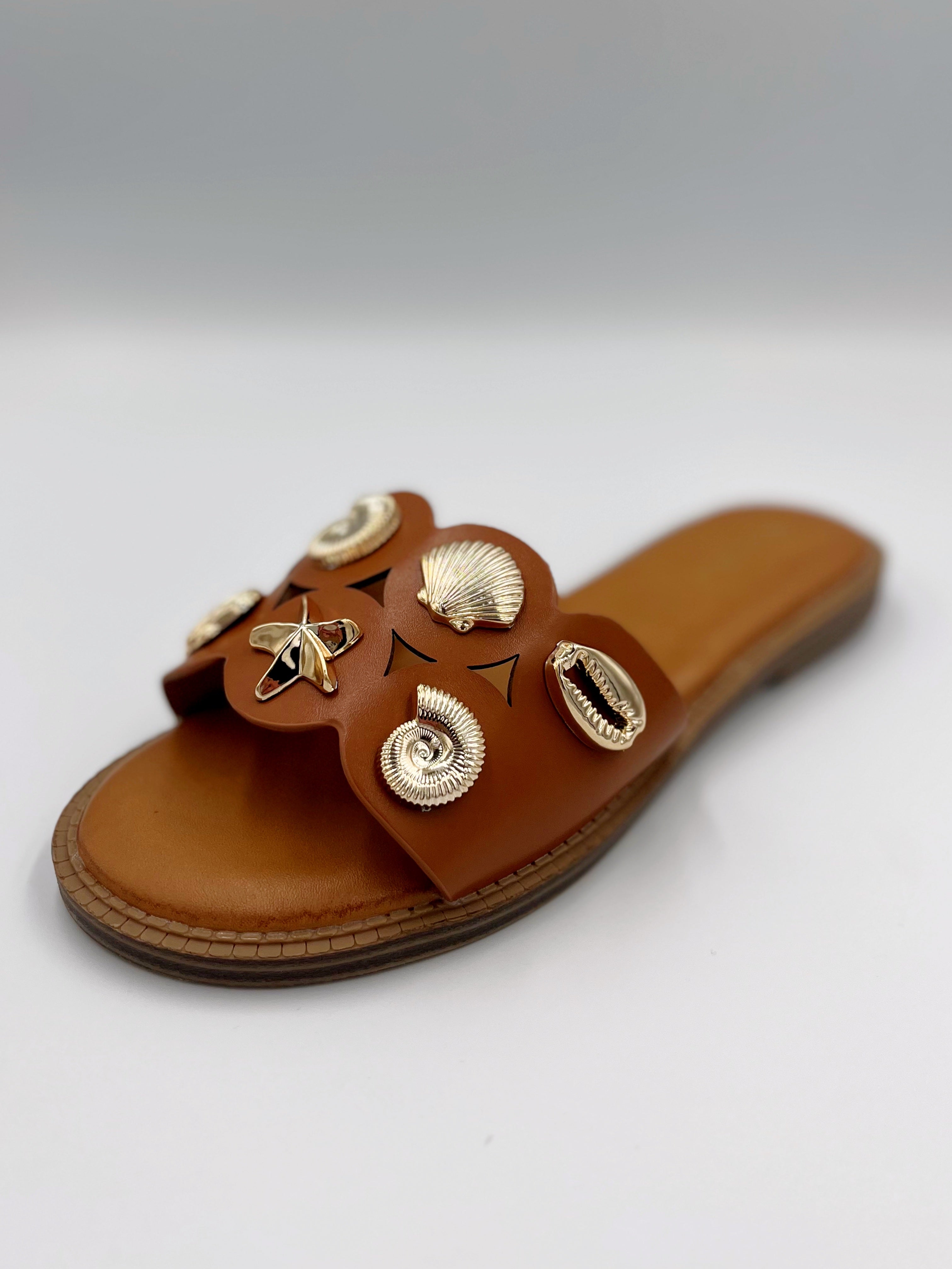 Seashell Sliders