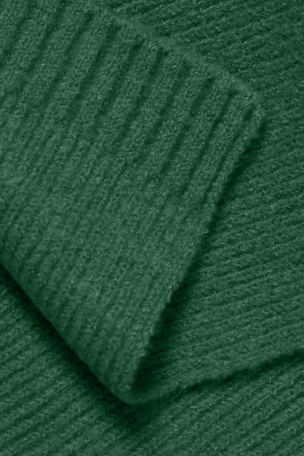 Women's Solid Cosy Knitted Scarf - Cadmium Green