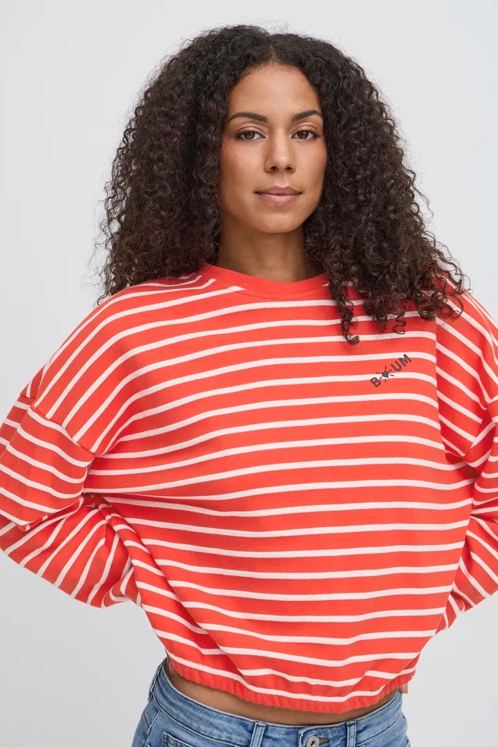 Ichi Striped Long Sleeve Sweatshirt