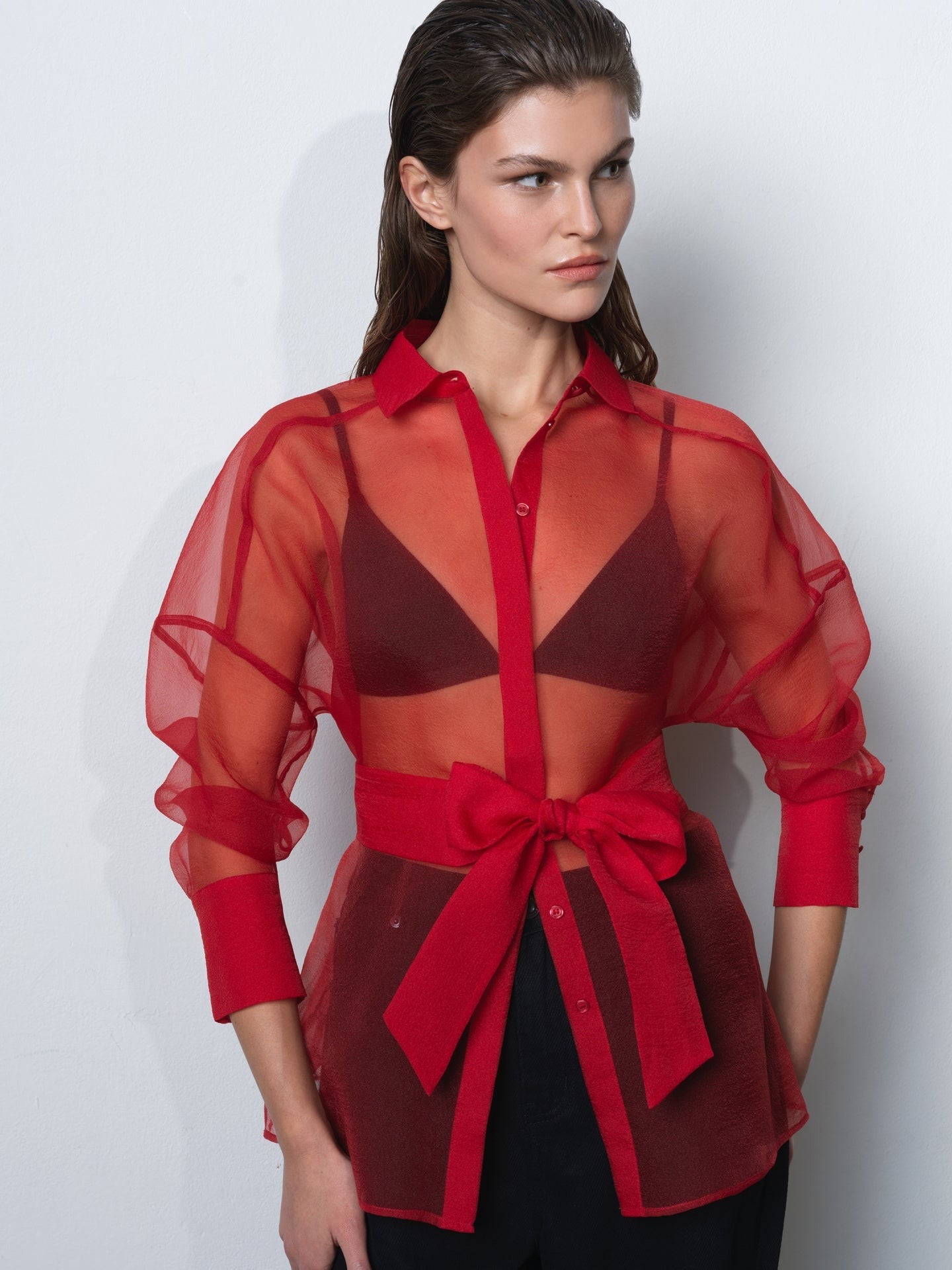 Mai Organza Tie Waist Shirt